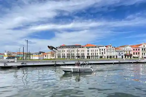 Experiência de Wakeboard na Ria de Aveiro