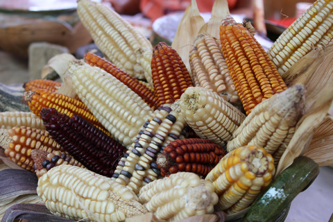 Oaxaca After Dark: Immersive Food Experience & Hidden Eats
