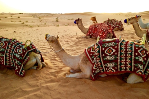 Safari partagé dans le désert, balade à dos de chameau, surf des sables et mer intérieure