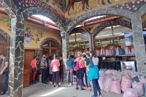 Plovdiv: Buzludzha, Rose Valley & Thracian Kings Tour