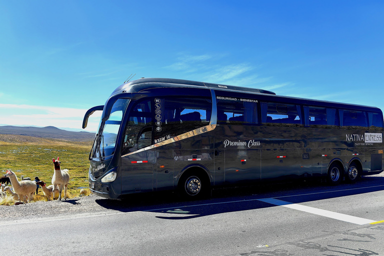Puno–Colca Andean Expedition | Premium Scenic Trip to Chivay
