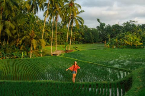 Ubud: Village Rice Field Walk, Waterfall & Subak Cave Tour