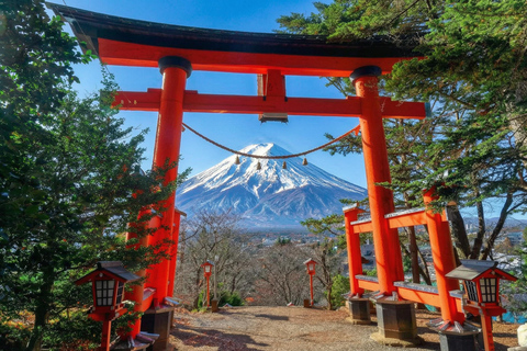 Tokyo: Mt Fuji & Oishi Park, Oshino Hakkai, Chureito Pagoda Free Karaage Chicken Set | Tokyo Station 8:00AM