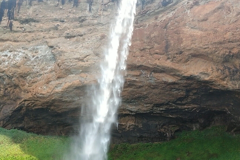 8 jours - Jinja, chutes de Sipi, vallée de Kidepo, np, excursion à la murchison