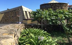 Tenerife: Guided tour with tasting of 6 wines