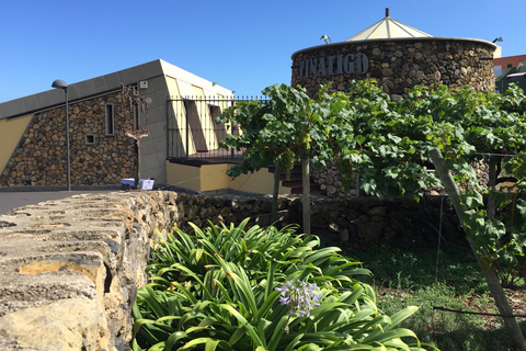 Tenerife: Guided tour with tasting of 6 wines