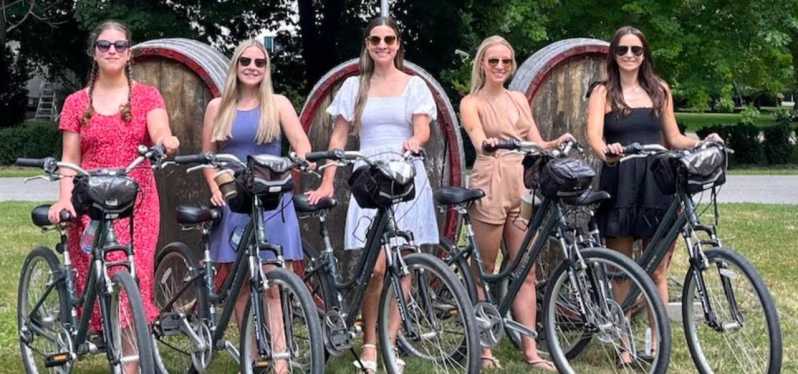 Bordeaux : Visite privée en vélo électrique avec dégustation de vins au château