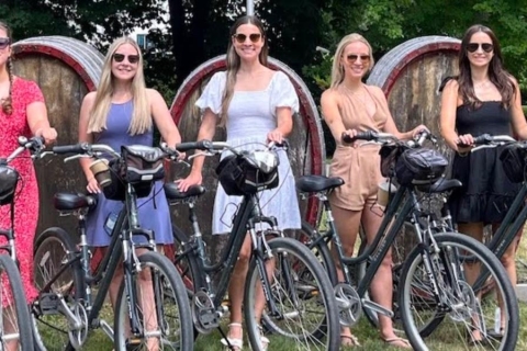 Bordeaux : Visite privée à vélo avec dégustation de vins au châteauVisite de Bordeaux à vélo + visite de château