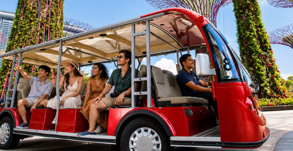 Singapore: Guided City Tour with Gardens by the Bay Visit