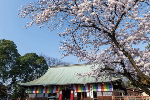 Excursion d&#039;une journée à Karuiizawa Hyland Shrine Koedo KawagoeSortie Shinjuku Ouest