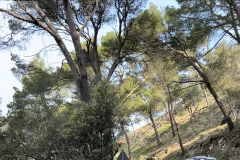 From East Mallorca: Guided Beach and Mountain Buggy Tour