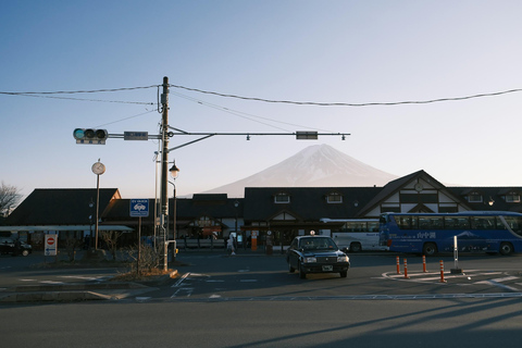 Från Tokyo: Fuji-berget eller Hakone Sightseeing Privat dagstur
