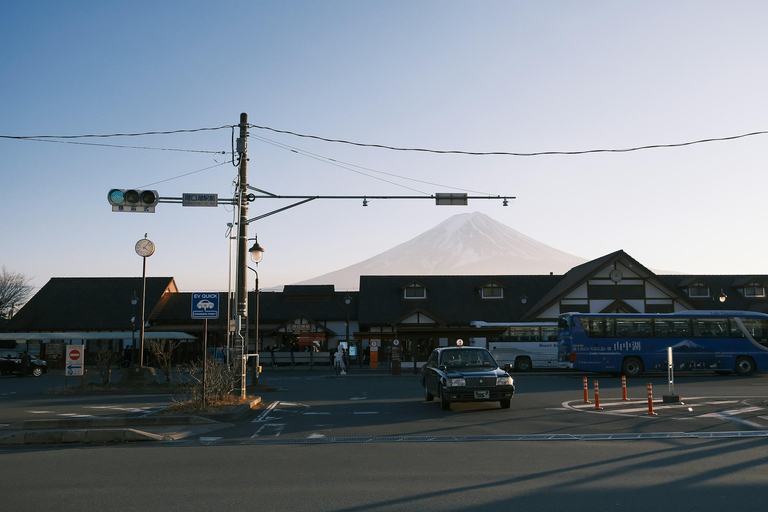 Från Tokyo: Fuji-berget eller Hakone Sightseeing Privat dagstur