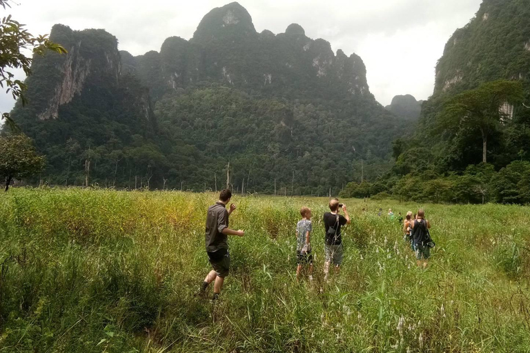 Z Krabi: Jednodniowa wycieczka nad jezioro Khao Sok Cheow LanZ Krabi: jednodniowa wycieczka nad jezioro Khao Sok Cheow Lan