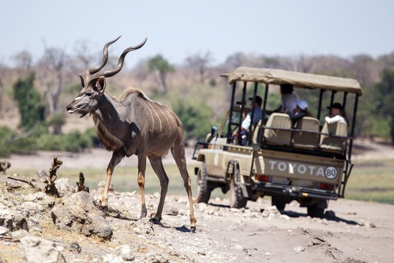 Excursión de un día a Chobe