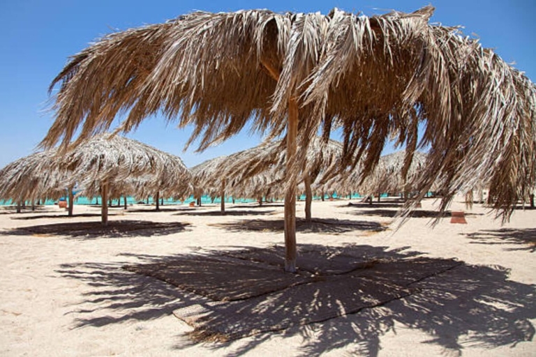 Sharm El Sheikh: Mega Safari Duinen & Golven Avontuur met lunchSharm El Sheikh: Mega Safari Zee en Duinen Avontuur w lunch