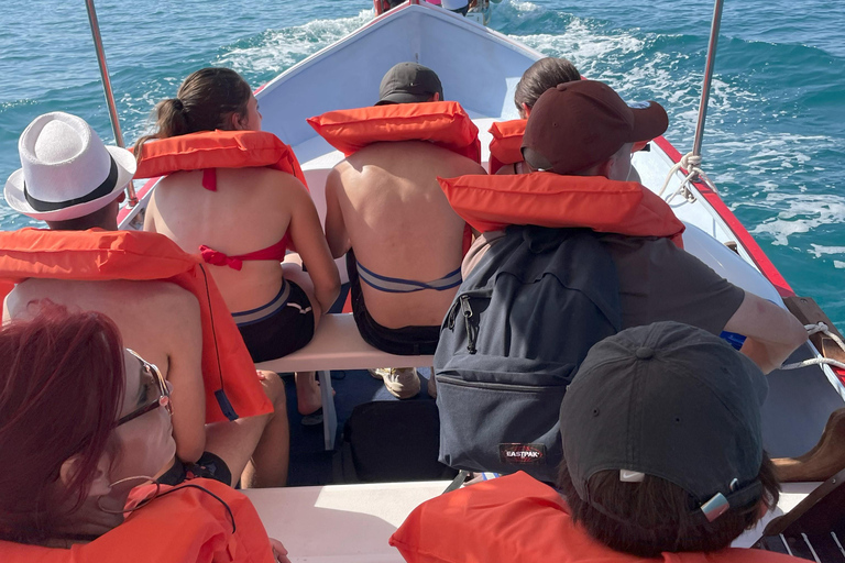 From Marsaxlokk: St Peter's Pool Boat Tour St Peter's Pool Boat Tour