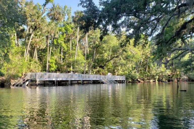 Orange stad: Blue Spring State Park St. Johns River Cruise1 timmes kryssning