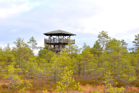 Descubre Estonia - excursión en coche a la ciénaga de Viru y a las cascadas.