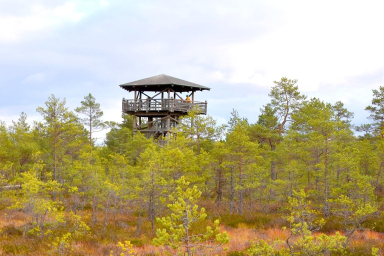 Descubre Estonia - excursión en coche a la ciénaga de Viru y a las cascadas.