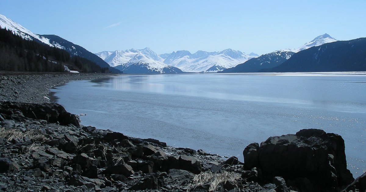 From Anchorage Portage Glacier and Wildlife FullDay Tour GetYourGuide