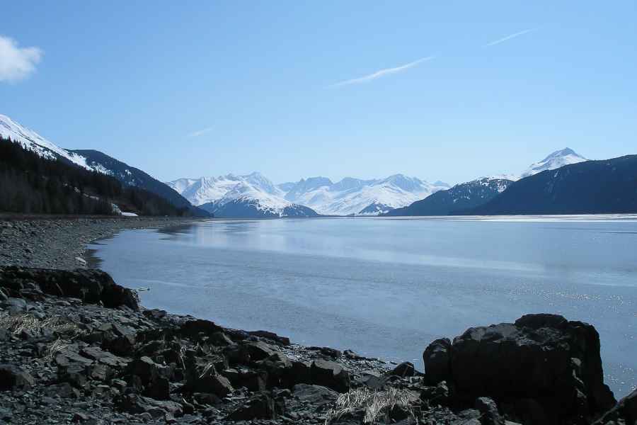 Ab Anchorage: Portage Gletscher- und Wildtier-Tagestour. Foto: GetYourGuide
