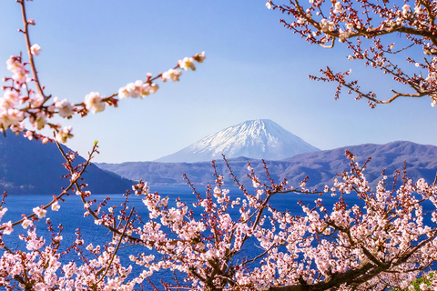 Hokkaido Noboribetsu Toya-ko Otaru Dagvullende tourOostelijk hotel Sapporo