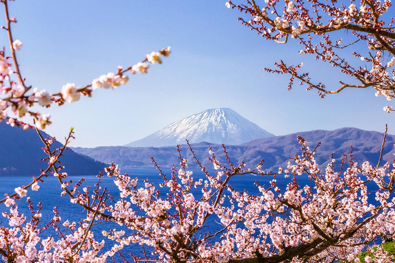 Hokkaido Noboribetsu Toya-ko Otaru Dagvullende tourOostelijk hotel Sapporo