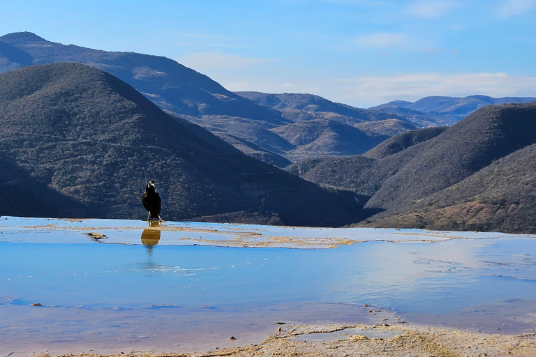 Hierve el agua: A Day of Adventure, Culture, and Flavor