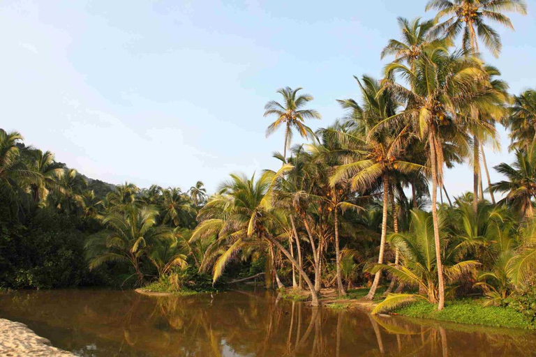 Excursão ao Parque Tayrona e Cabo San Juan