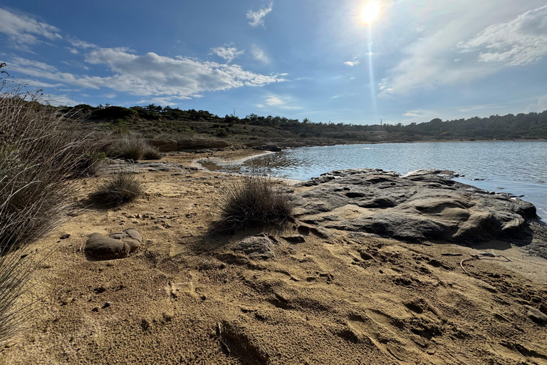 Rab : location de kayaks transparents à LoparRab : Location de kayaks transparents à Lopar