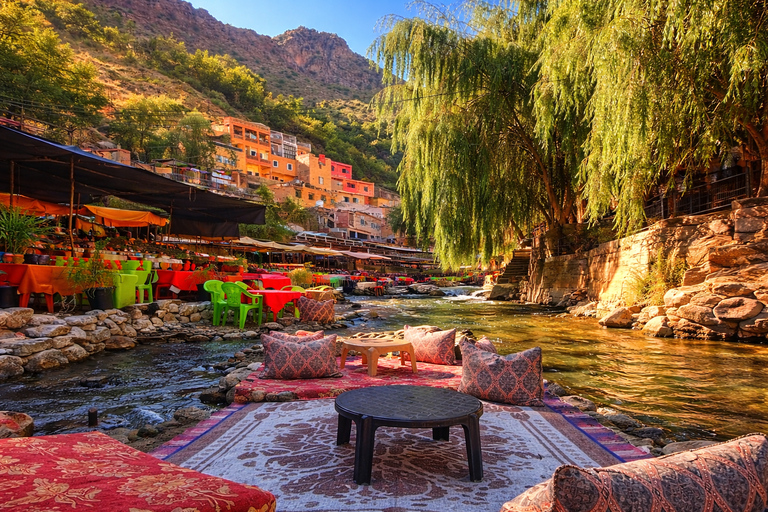Marrakech : day trip to Ourika valley lunch + guid walk
