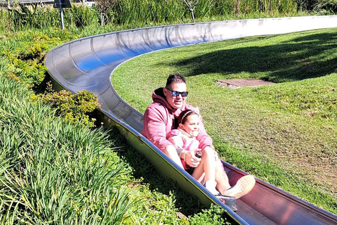 Kaapstad: Cool Running/Toboggan Adventure en ophaalservice vanaf je hotelKaapstad: Cool Running/Toboggan-avontuur en ophaalservice vanaf je hotel