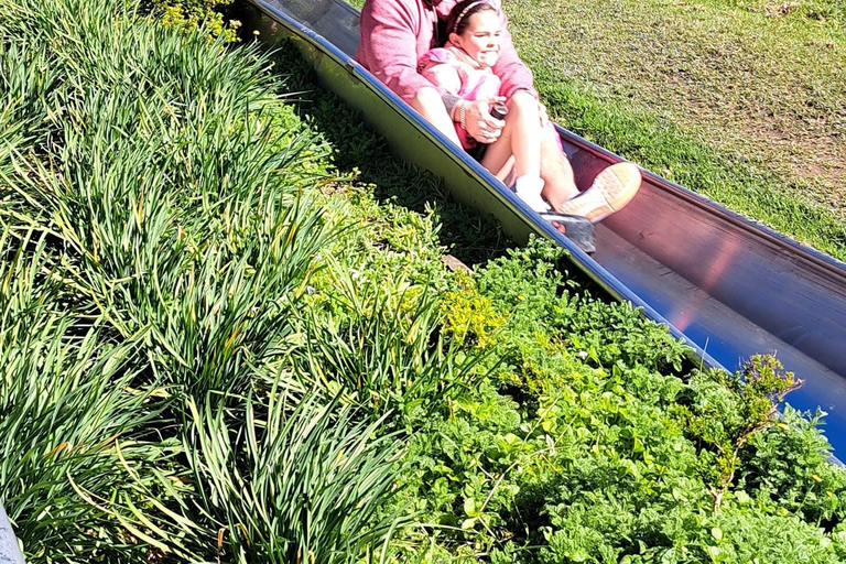 Kaapstad: Cool Running/Toboggan Adventure en ophaalservice vanaf je hotelKaapstad: Cool Running/Toboggan-avontuur en ophaalservice vanaf je hotel