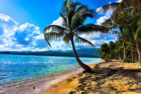 Piñones Beach & Authentic Puerto Rican Food 4-Hour Tour