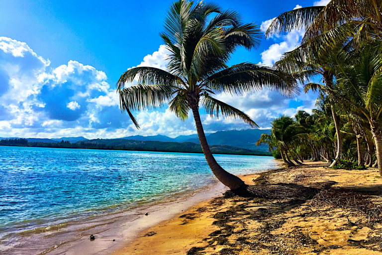 Piñones Beach & Authentic Puerto Rican Food 4-Hour Tour