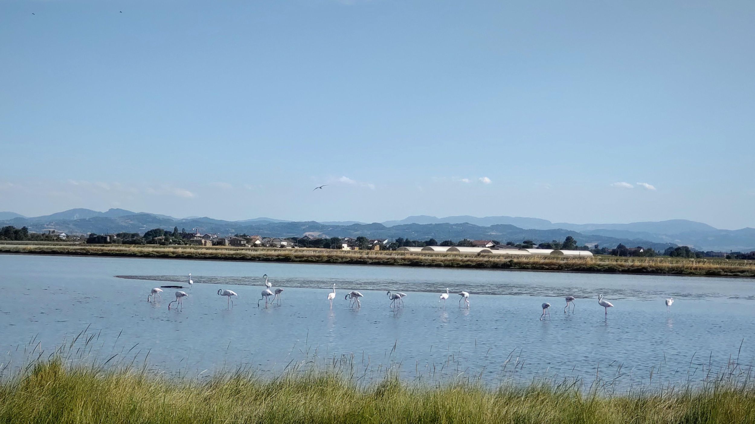 Cervia & Milano Marittima auf APE CALESSINO vintage