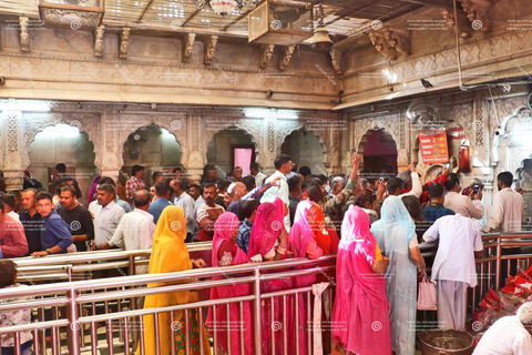 From Bikaner: Rat Temple Tour with Drop-off at Jodhpur Private Transport + Local Guide + Entry Tickets.