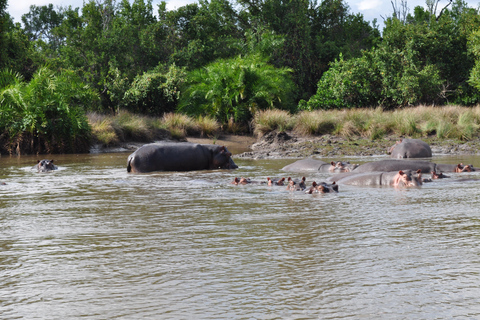 从桑给巴尔出发：萨达尼 3 天飞行野生动物观光之旅从桑给巴尔出发：萨达尼飞行之旅（3 天，含野生动物观赏）