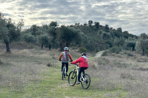 Berat: Elektrofahrrad-Tour mit Mittagessen