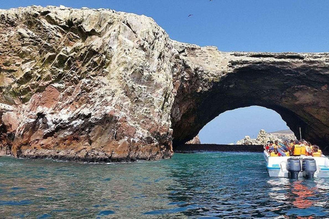 Full Day Paracas Ballestas Islands, City Tour Ica Tubular