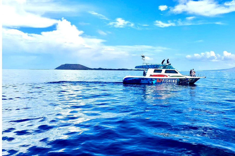 Fuerteventura: Dolfijnen kijken en Lobo Eiland Combo Cruise