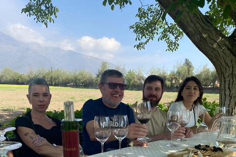 Santiago: Privétour naar Aquitania Wijnmakerij en Bahá&#039;í Tempel