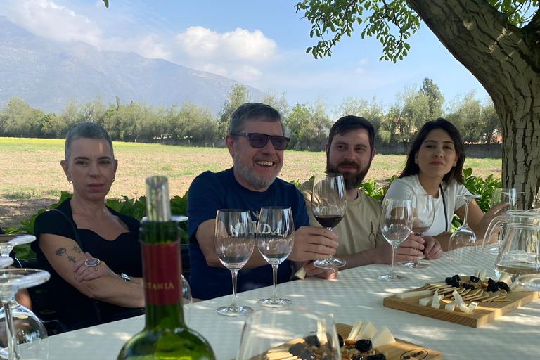 Santiago: Privétour naar Aquitania Wijnmakerij en Bahá&#039;í Tempel