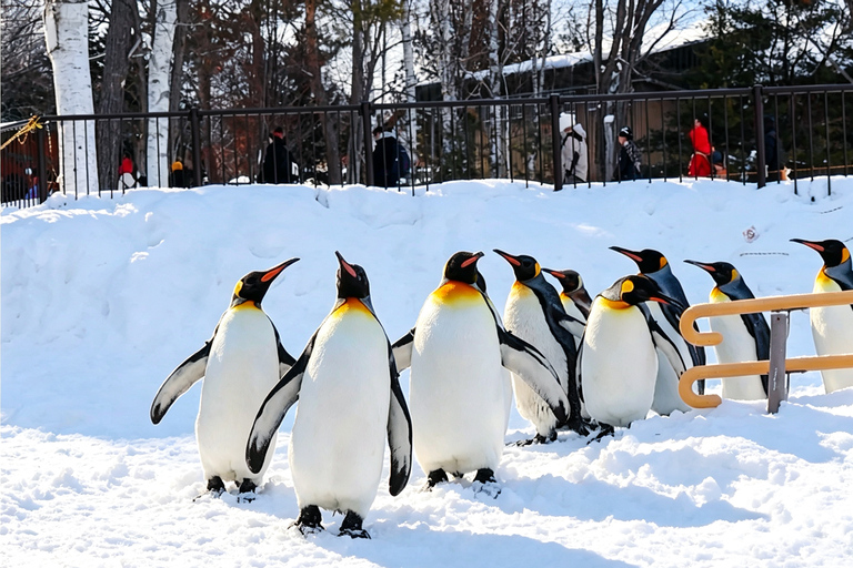 Sapporo: Asahiyama Zoo, Blue Pond & Chiyoda Farm Day Tour Private Sightseeing Tours