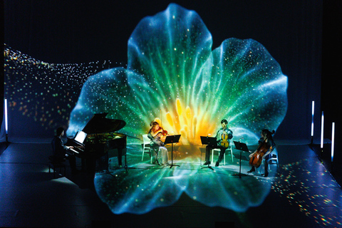 ✨Immersive Light and Music Show in Alicante I Under The Tree