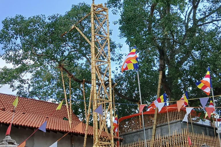 From Colombo/Negombo to Anuradhapura Day Tour with Mihintale