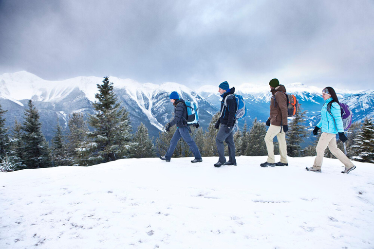 Banff : Randonnée hivernale en pleine nature avec suivi de la faune - 2 heures