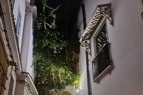 Tunis: Medina Guided Walking Tour with Optional Food