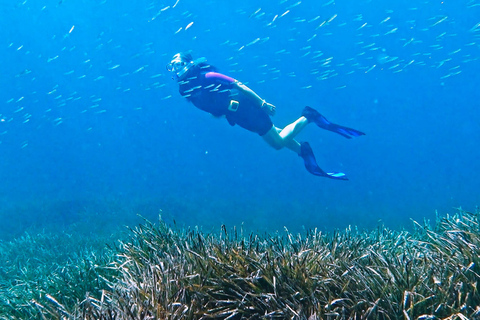Mallorca: Guided snorkeling tour from a boat in a hidden bay